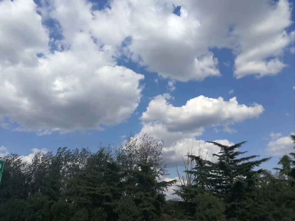 pg电子生态农场开启新大门