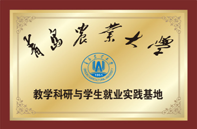 PG电子·(试玩)游戏官网入口 -pgsoft-games