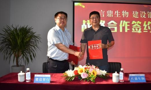 今日头条 数字山东：清风徐来，花自盛开——强强联合再添新同伴