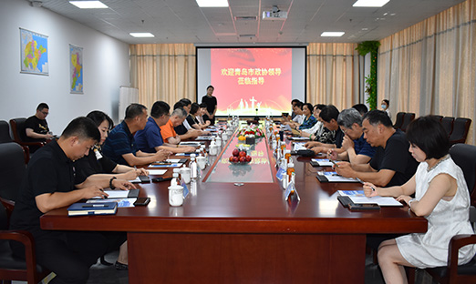 青岛政协多名驻会常委莅临pg电子工业园旅行指导