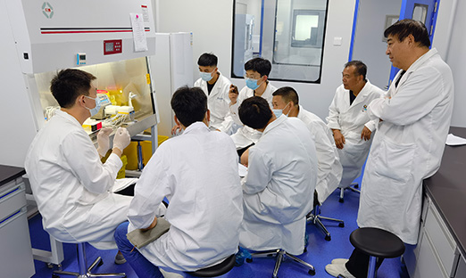 康健工业——pg电子一直承继行稳致远