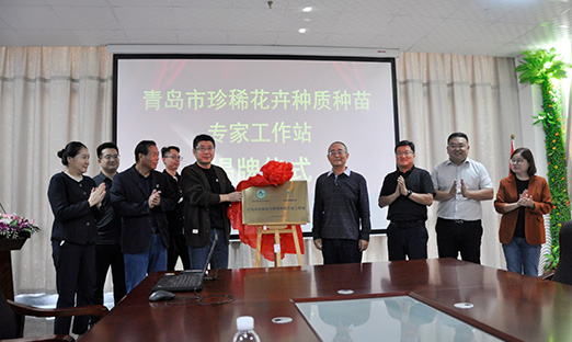 青岛市珍稀花卉种质种苗专家事情站揭牌，开启花卉工业新征程