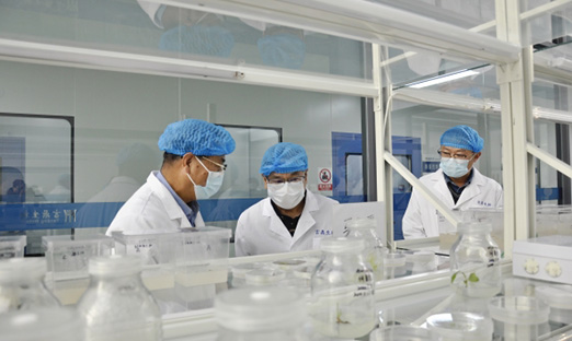 ；锛攀紫蒲Ъ依蠲饕逡恍械椒胮g电子集团，共商相助新机缘